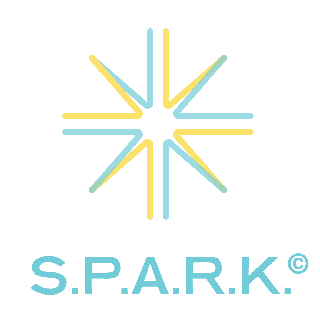 SparkModelLogo